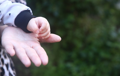 Similar image 22424782