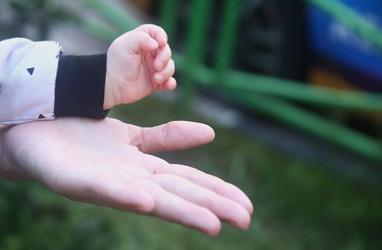 Similar image 22424784