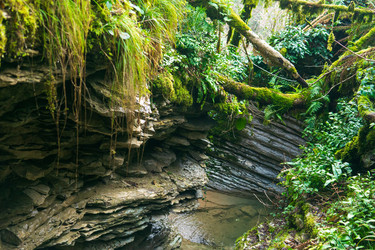 Similar image 22419144