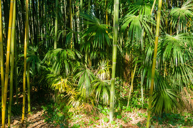 Similar image 22419145