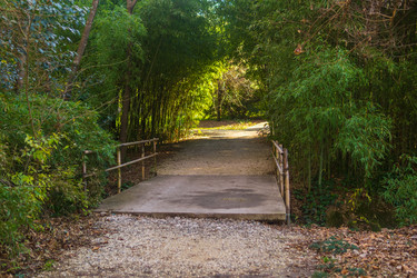 Similar image 22419146