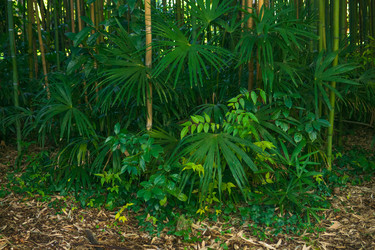 Similar image 22419147