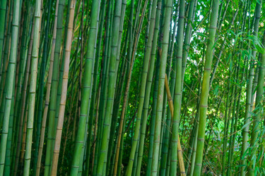 Similar image 22419148