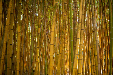 Similar image 22419149