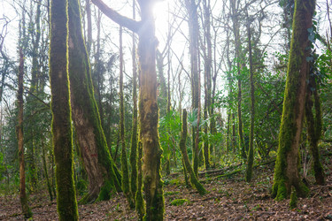 Similar image 22419150