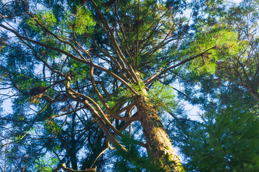 Similar image 22419151