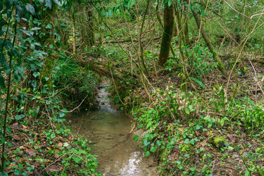 Similar image 22419152