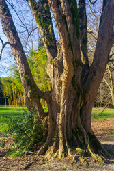 Similar image 22419153