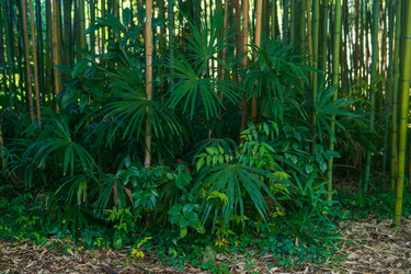 Similar image 22419154