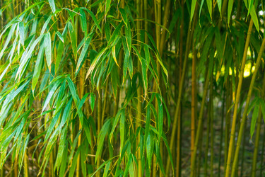 Similar image 22419155