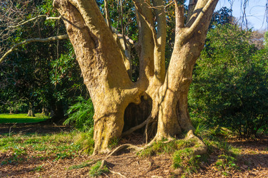 Similar image 22419156