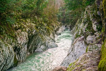 Similar image 22419157