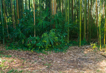 Similar image 22419158