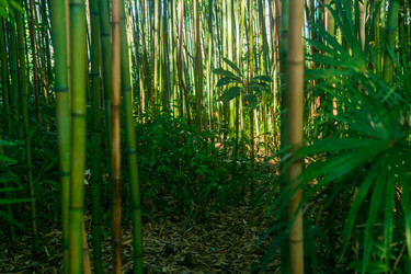 Similar image 22419159