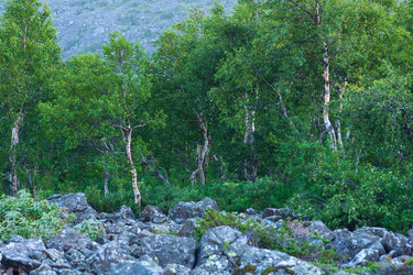 Similar image 22419160