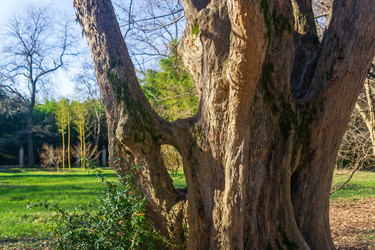 Similar image 22419161