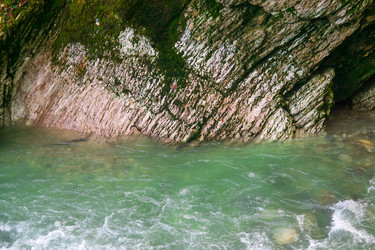 Similar image 22419162