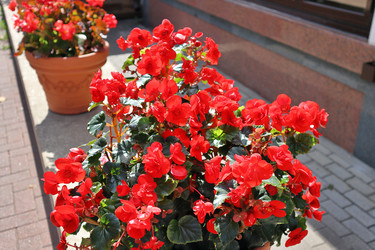 Similar image 22425472