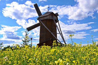 Similar image 22419179