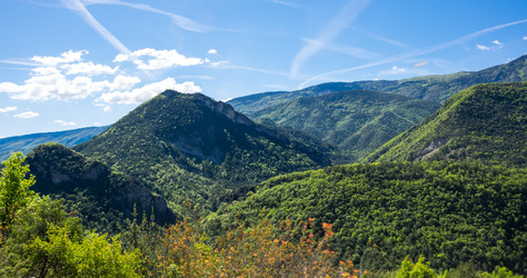 Similar image 22423637