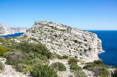 Similar image 22423639