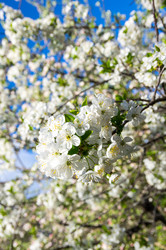 Similar image 22423647