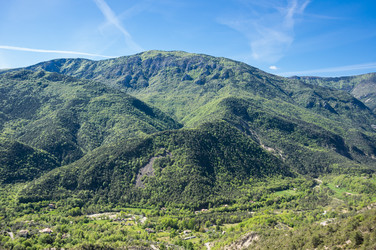 Similar image 22423649