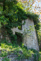 Similar image 22423652