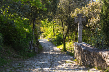 Similar image 22423655