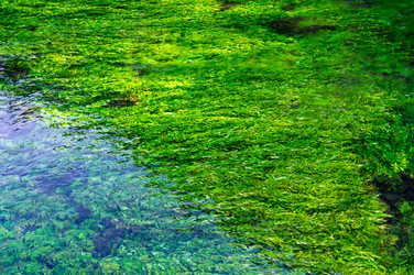 Similar image 22423659