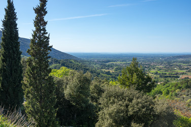 Similar image 22423666