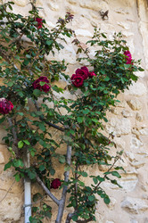 Similar image 22423680