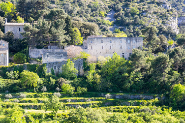 Similar image 22423681