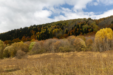 Similar image 22425255