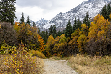 Similar image 22425257