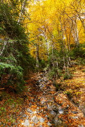 Similar image 22425258