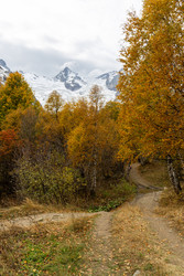 Similar image 22425259