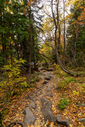 Similar image 22425261