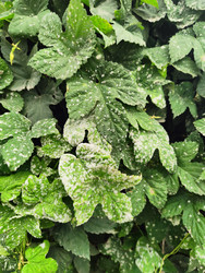 Similar image 22425625