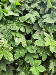 Similar image 22425626