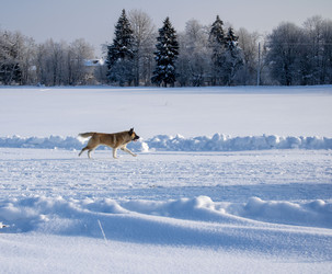 Similar image 22430702