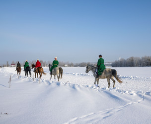 Similar image 22445543