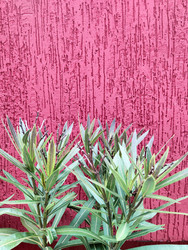 Similar image 22425627