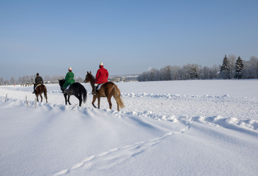 Similar image 22445544