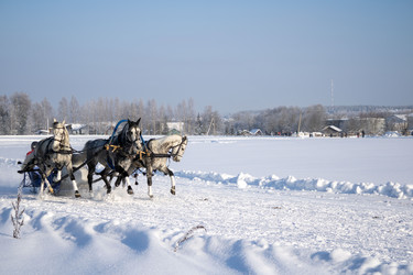 Similar image 22426789