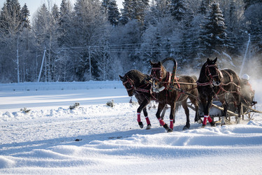 Similar image 22424962