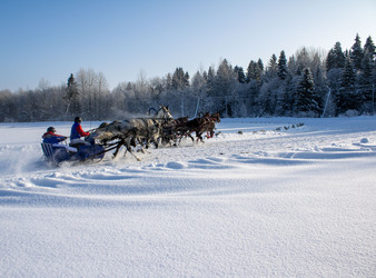 Similar image 22424963