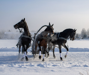 Similar image 22419061