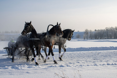 Similar image 22419066