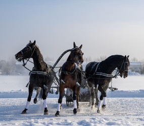 Similar image 22419067